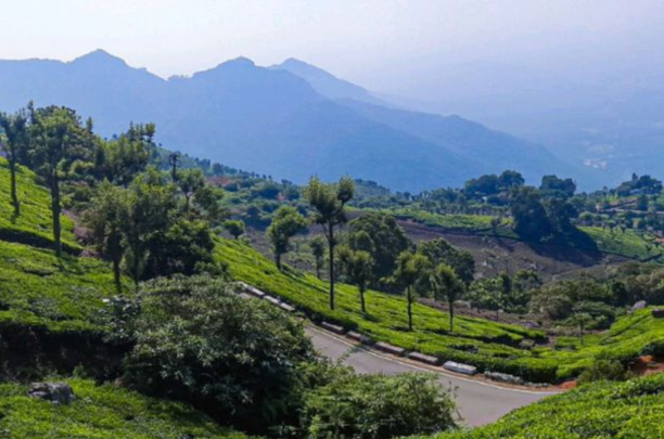 Kodaikanal